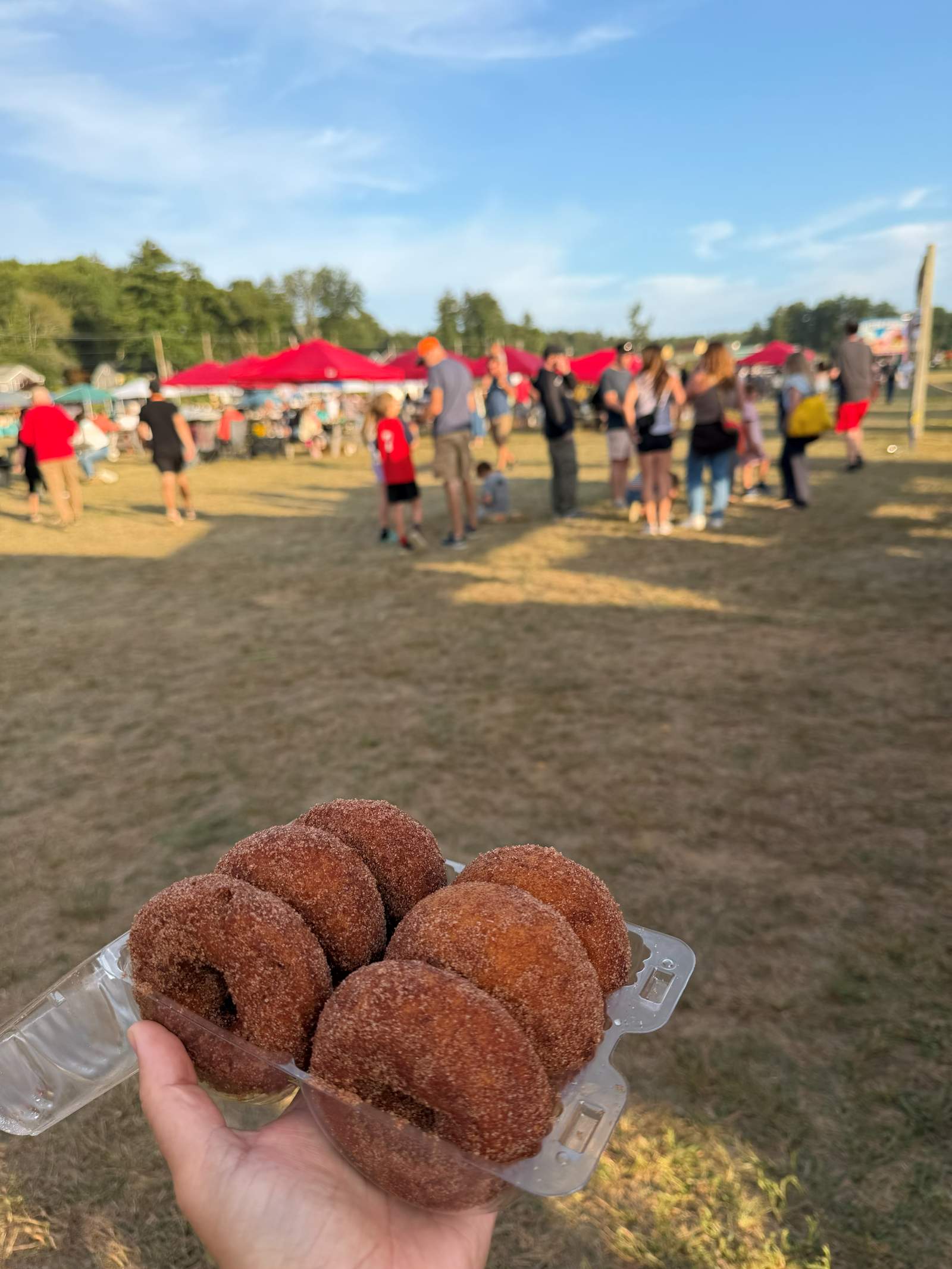 A hand holding a tray of cider donuts at a New Hampshire fall fair